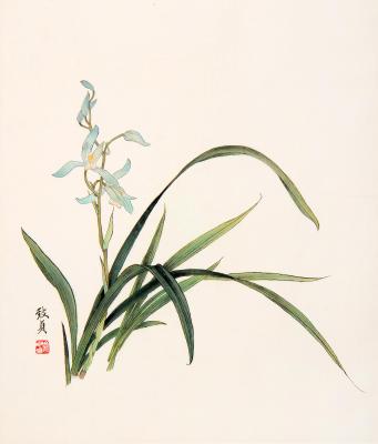 赵涌在线(zhaoonline)_花鸟_俞致贞 兰花_图_400*400