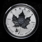 2016年加拿大枫叶1盎司银币一枚（猴生肖、privy）