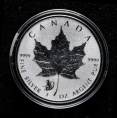赵涌在线_钱币类_2016年加拿大枫叶1盎司银币一枚（猴生肖、privy）