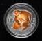 2004年甲申猴年生肖1盎司1盎司精製彩銀幣