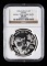 1995年熊貓1盎司普製銀幣（細枝大字版）
