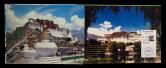 西藏风光纪念邮戳集（含普23民居销不同营业部、景点戳、纪念邮戳卡36件）