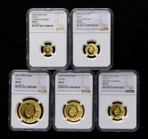 2003年熊猫普制金币五枚一套（含1/20盎司、1/10盎司、1/4盎司、1/2盎司、1盎司）
