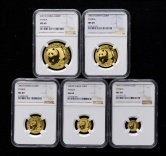 2001年熊猫普制金币五枚一套（D版、含1/20盎司、1/10盎司、1/4盎司、1/2盎司、1盎司）
