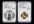 2015年中国近代国画大师徐悲鸿精制金银币二枚一套（含1/4盎司金、1盎司银）