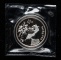 1996年熊貓1盎司精製銀幣