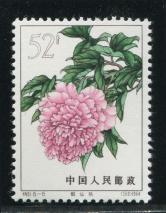 特61（15-15）新