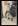 1908年贴香港1先北京喇嘛庙明信片旧