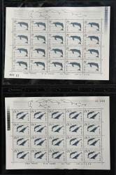 T57M白鱀豚小版張新全