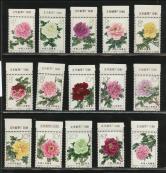 特61牡丹带厂铭新全