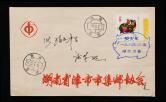 1983年贴T80猪年带色标一套湖南首日寄本埠封、销1月5日湖南丰县戳、1月6日湖南津市落戳、首日纪念戳